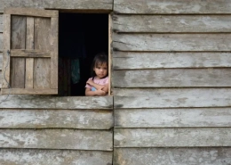 Indigenous Communities Fear Displacement Over Indonesia’s New Capital Plan