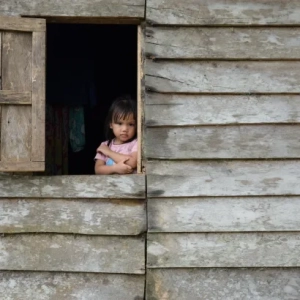 Indigenous Communities Fear Displacement Over Indonesia’s New Capital Plan